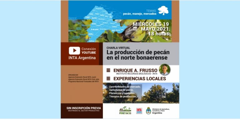 INTA invita a Charla virtual sobre «La producción de pecán»