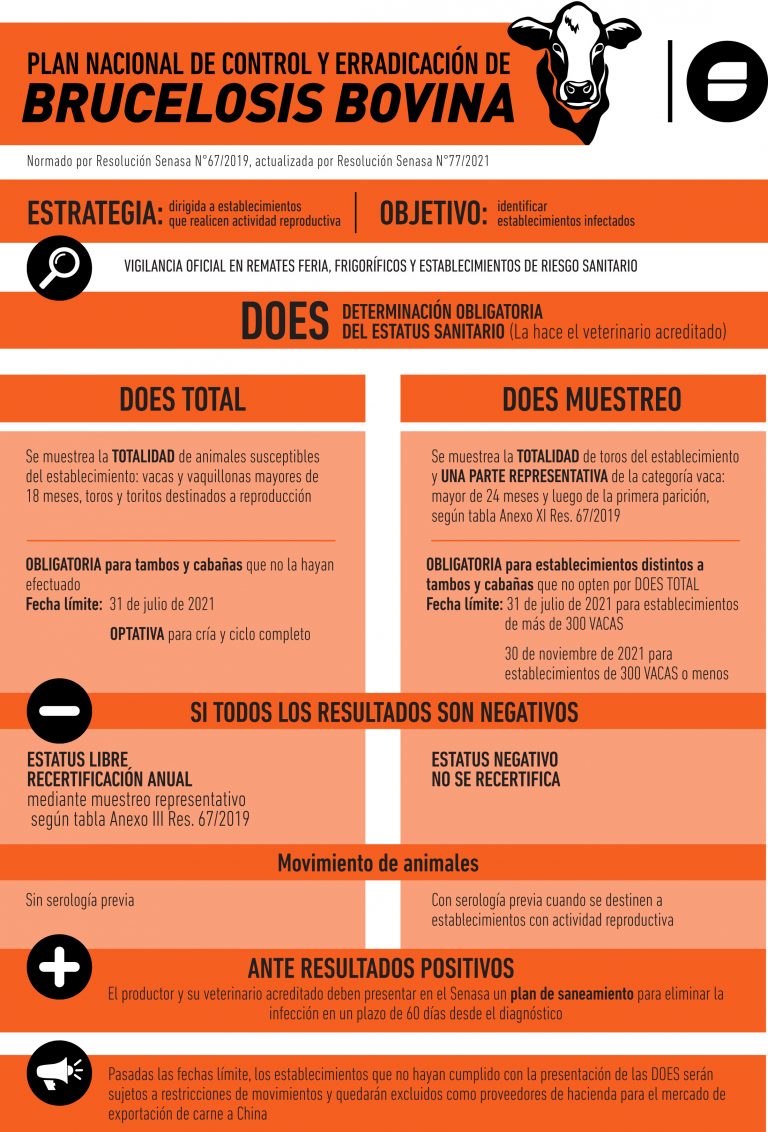 -SENASA: La determinación del estatus sanitario para brucelosis, es obligatoria.