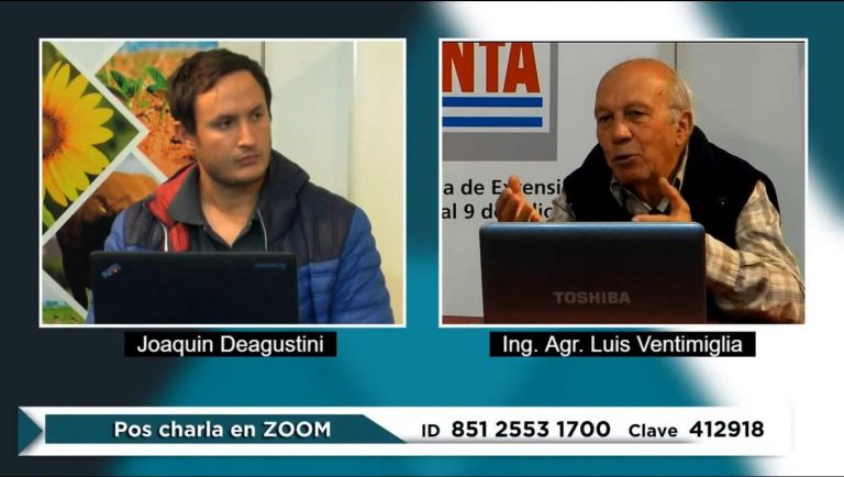 Trigo y Cebada: tener en cuenta estrategias de manejo