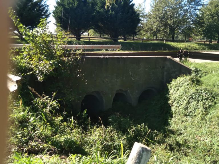 Piden limpieza: reclamo de vecinos por canal abierto