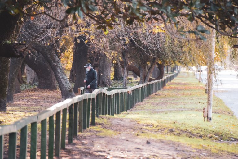 Parque San Martín: cercado por Avenida Mitre