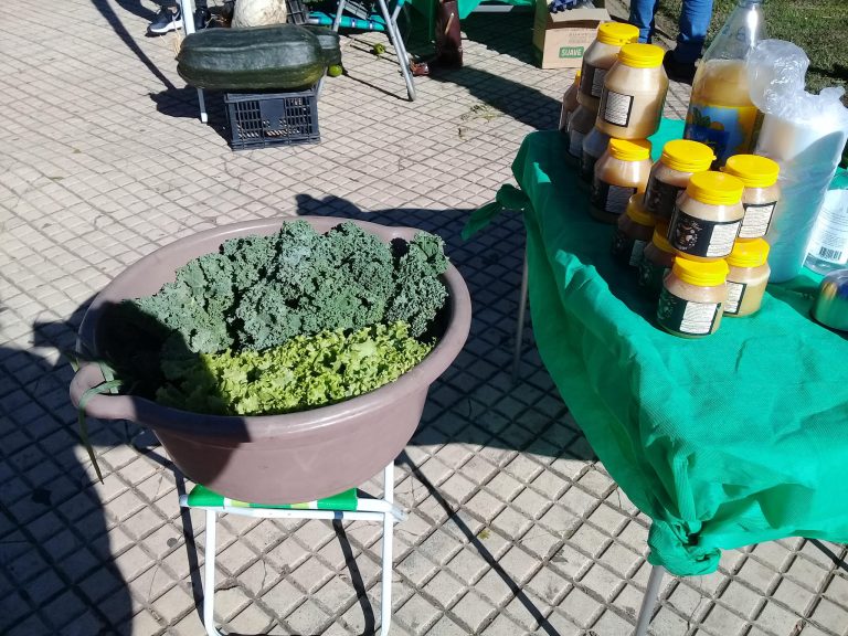 Este sábado: Feria de Huerteros