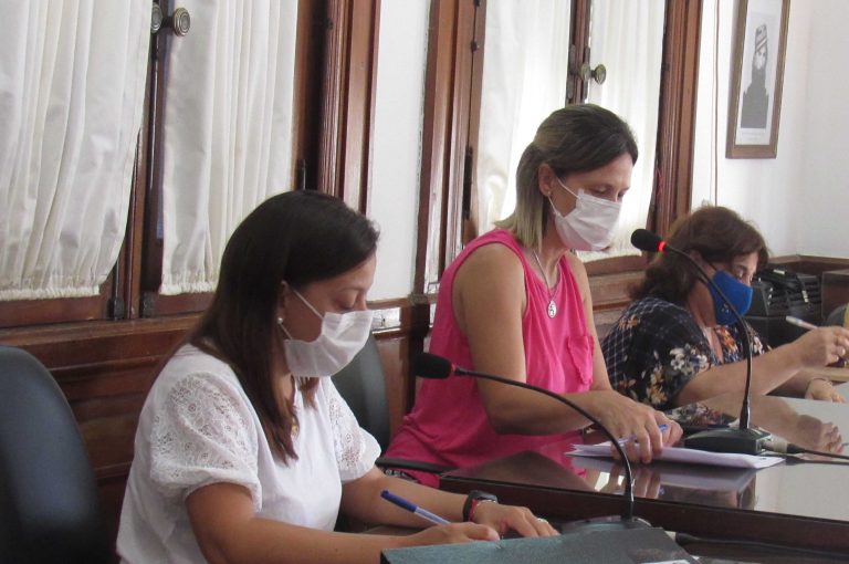 Concejo Deliberante: balance del ejercicio 2020