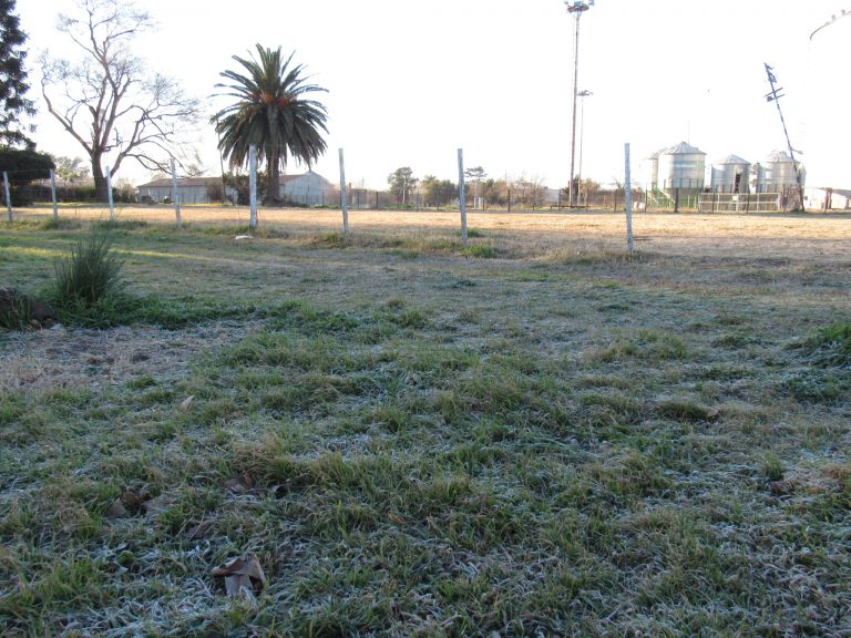 Clima: se anticipa una jornada con frío