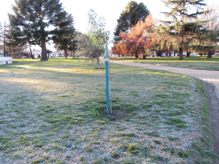 La mínima fue de 0.2ºC bajo cero