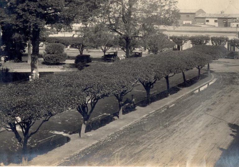 El mes de julio, hace 100 años, en 9 de Julio