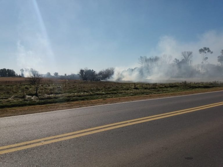 En Ruta 65: incendio de banquina