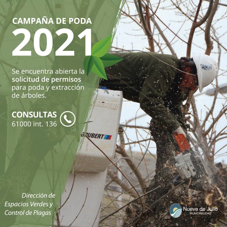 La Municipalidad continúa con la poda