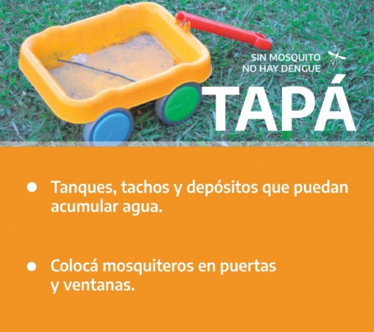 Recomendaciones para la prevención del dengue