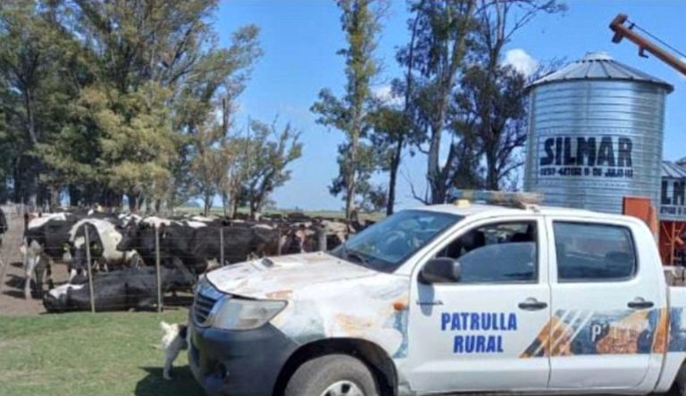 Recuperaron 112 animales vacunos