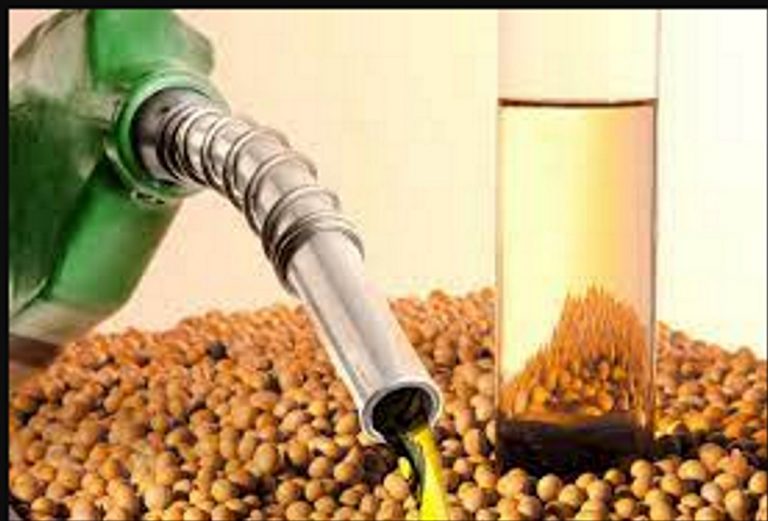 Argentina apelará el fallo por el Biodiesel