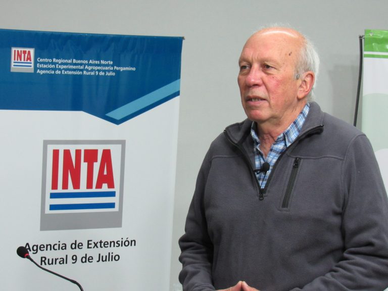Maíz y Girasol: utilizar estrategias para la siembra