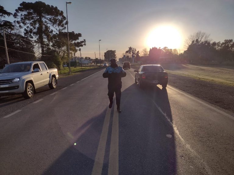 Operativos de Ruta 5: secuestran marihuana