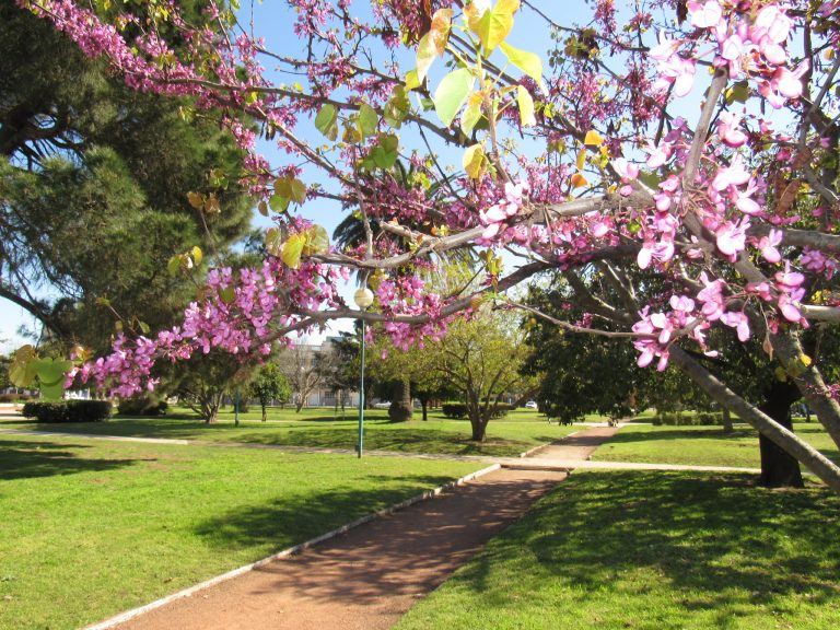 Llegó la Primavera, para disfrutarla