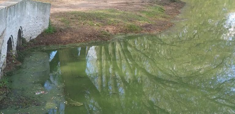 Realizan nuevos estudios del espejo de agua Parque
