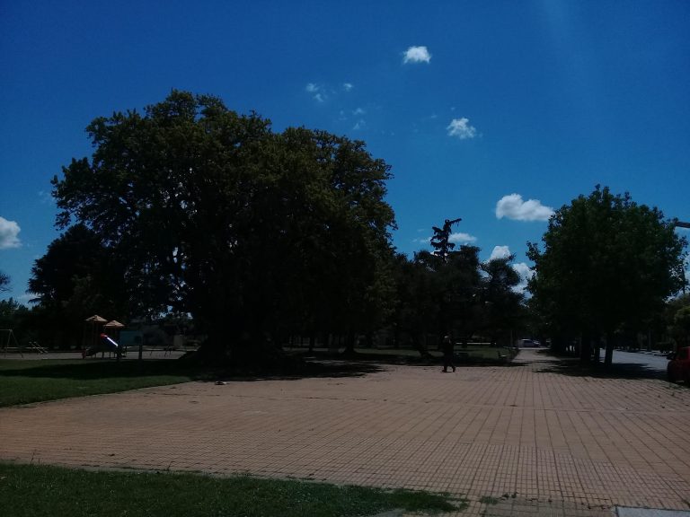Cuáles serán las condiciones climáticas para la semana