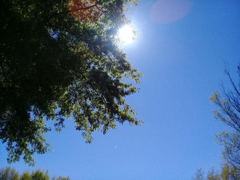 Empieza una semana de calor extremo