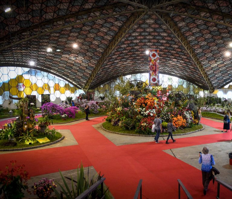Escobar: celebración de tradiciones y producción floral
