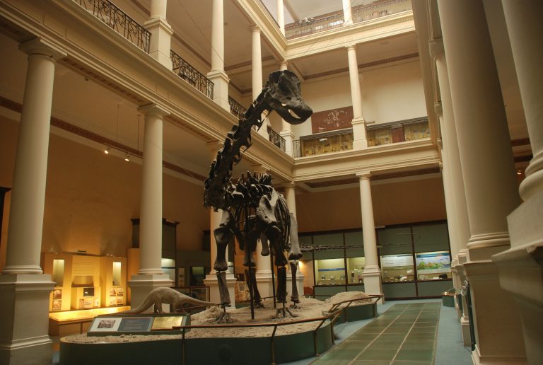 «Una Noche en los Museos», también en La Plata
