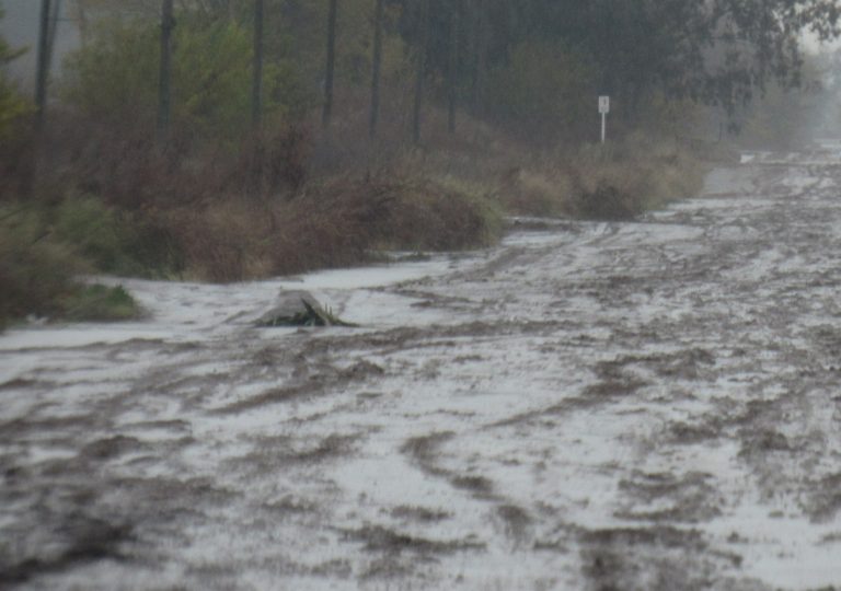 Caminos rurales: prohibido circular con cargas