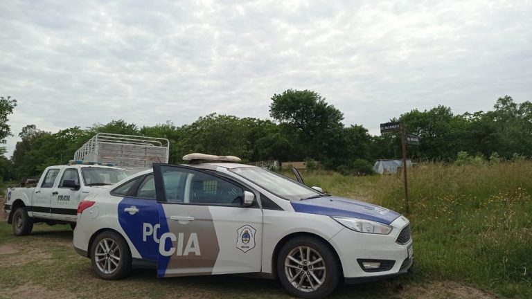 Secuestraron un arma y cartuchos