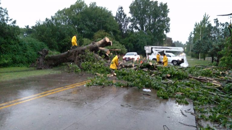 La tormenta causó numerosos problemas