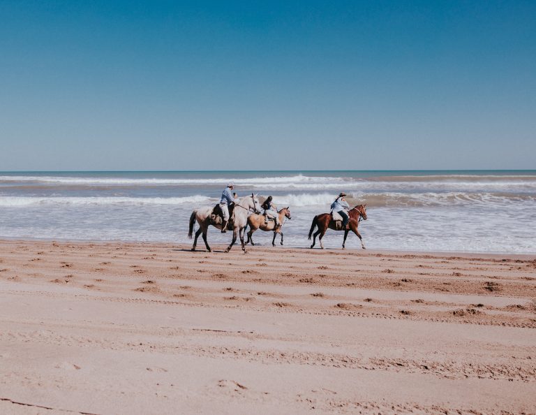 El Partido de la Costa y Monte Hermoso, dos destinos para disfrutar