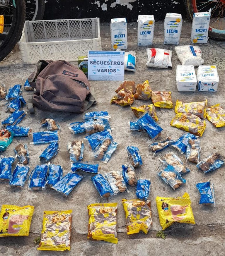 Fueron aprehendidos cuando robaban mercadería de la Escuela 30