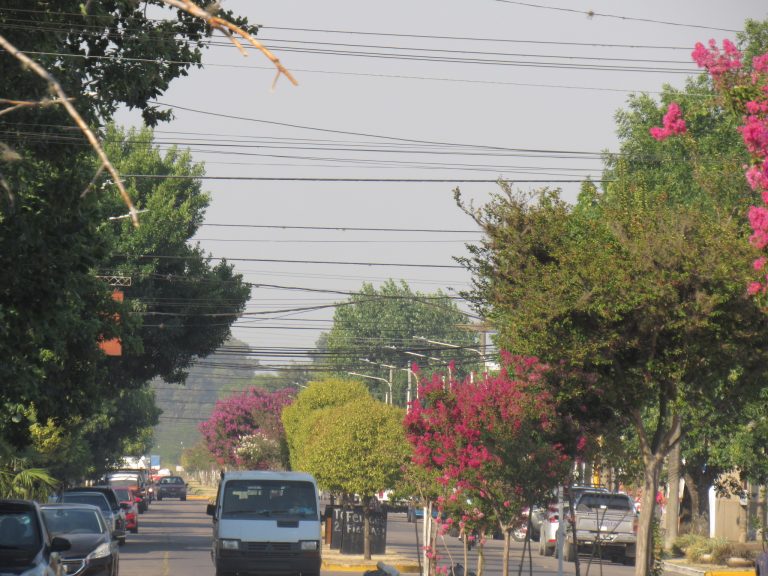 El humo del Litoral llegó hasta la Ciudad
