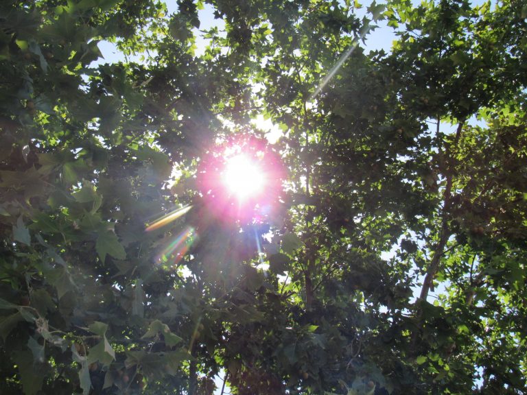 La temperatura llegó a 42ºC en 9 de Julio