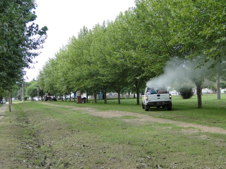Se iniciará hoy la fumigación contra los mosquitos