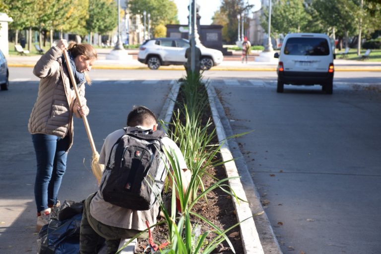 Avenida Vedia comenzó la ornamentación de los nuevos canteros