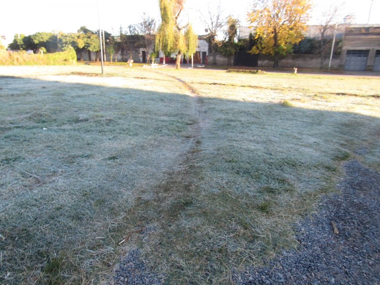 En la Ciudad la temperatura mínima fue de 2.8Cº