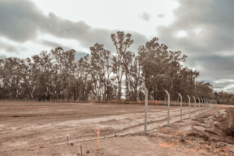 Nueva Playa de Camiones: avanzan las obras