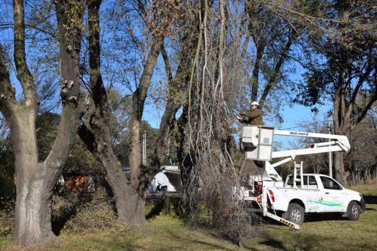 Poda: la campaña sigue en Barrio Los Aromos