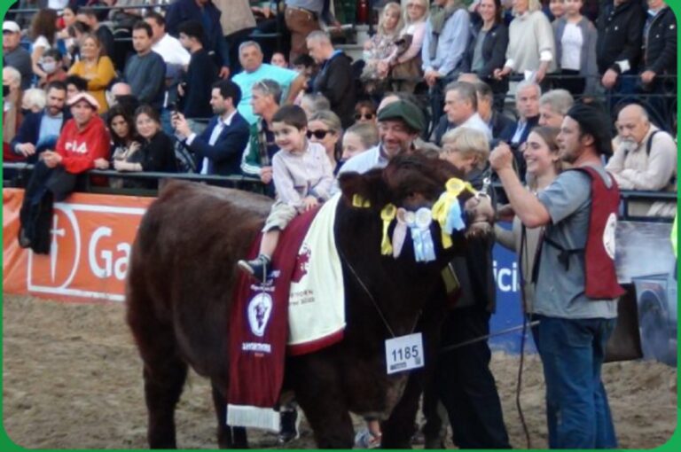 Cabañas nuevejulienses premiadas en Palermo