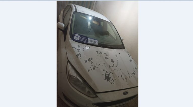 Robo de auto y camioneta: recuperaron los rodados