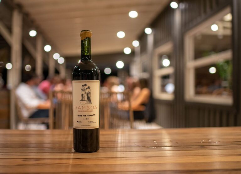 Las bodegas bonaerenses ofrecen excelentes vinos