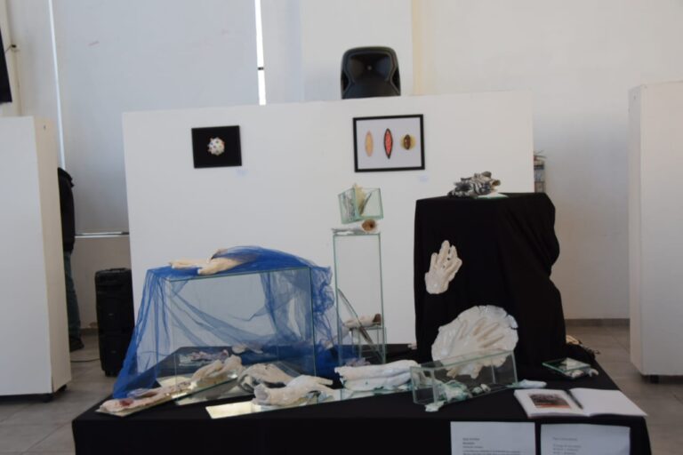 Sigue la Muestra de Cerámica