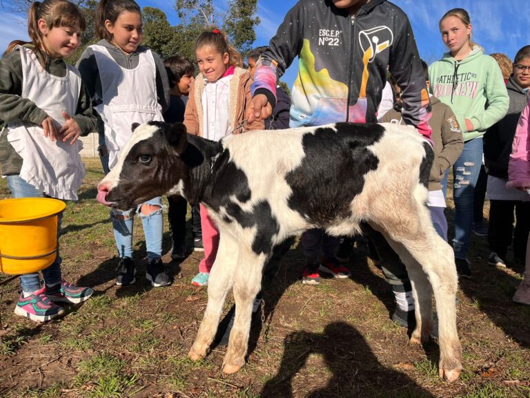Concurso de Crianza del Ternero: participan 11 escuelas