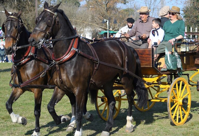 Turismo: calendario de eventos