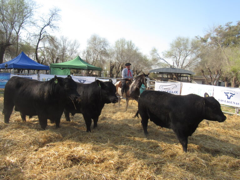 El remate de «Don Félix» y «La Marianita» fue un éxito