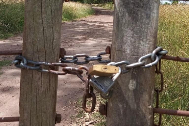 Robo de candados en campos: alertan por animales sueltos