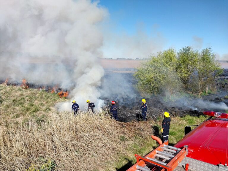 Bomberos tuvieron una intensa labor