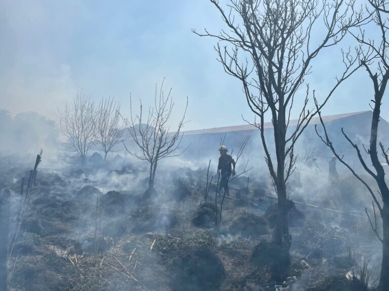 Incendios: Bomberos trabajó en cinco frentes