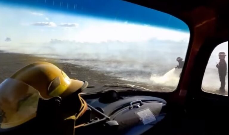 Incendio en un campo: ardua labor de Bomberos