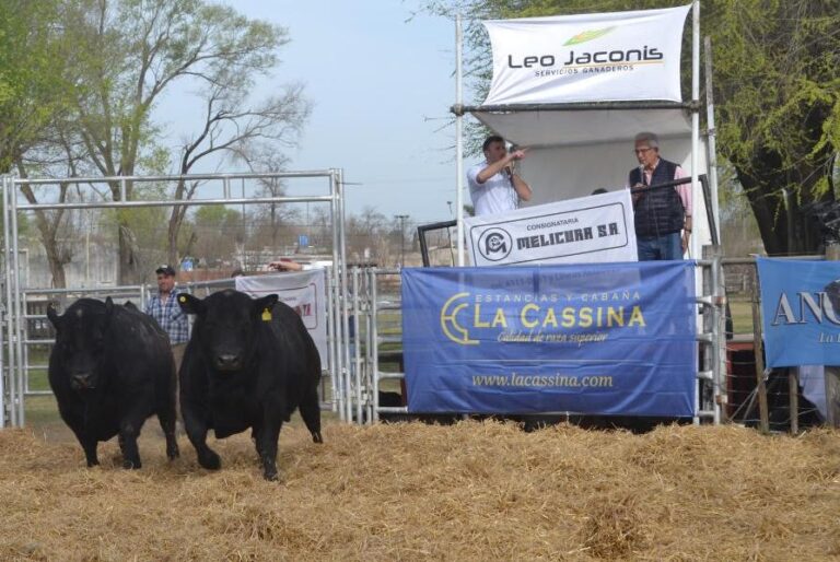 «La Cassina» llevó a cabo el 16to remate en 9 de Julio
