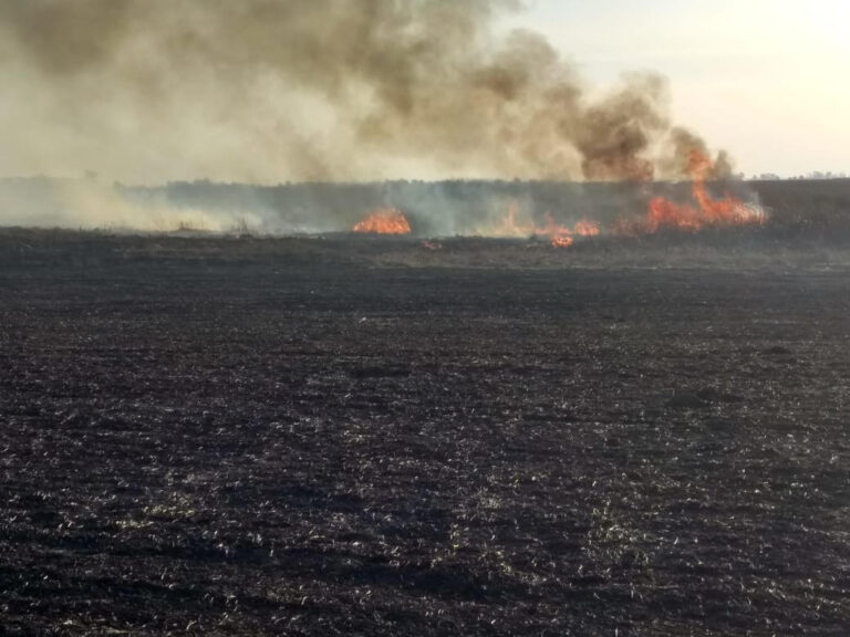 Incendio en zona rural: actuación de Bomberos de Dudignac