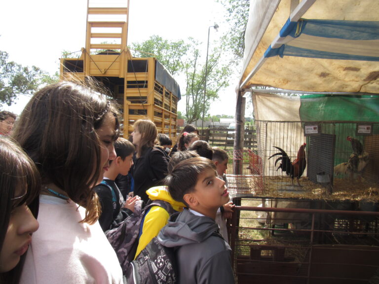 La Expo Rural, uno de los grandes atractivos
