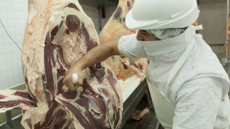 Carne: desde noviembre, fraccionarán las medias reses